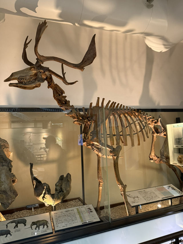 พาชมบรรยากาศ National Museum of Nature and Science