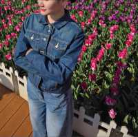ทุ่งดอกทิวลิปท่ามกลางอากาศ 18 องศาที่ #คุนหมิง