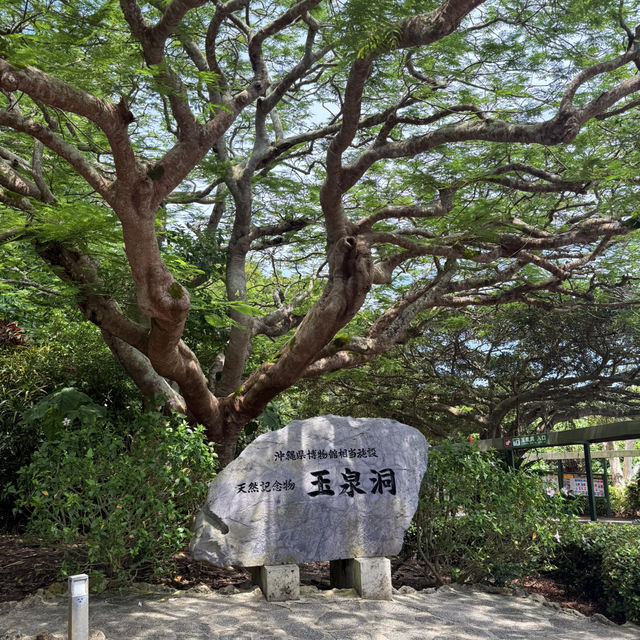🚙 沖繩自駕｜島嶼的溫度，在風的方向裡旅行