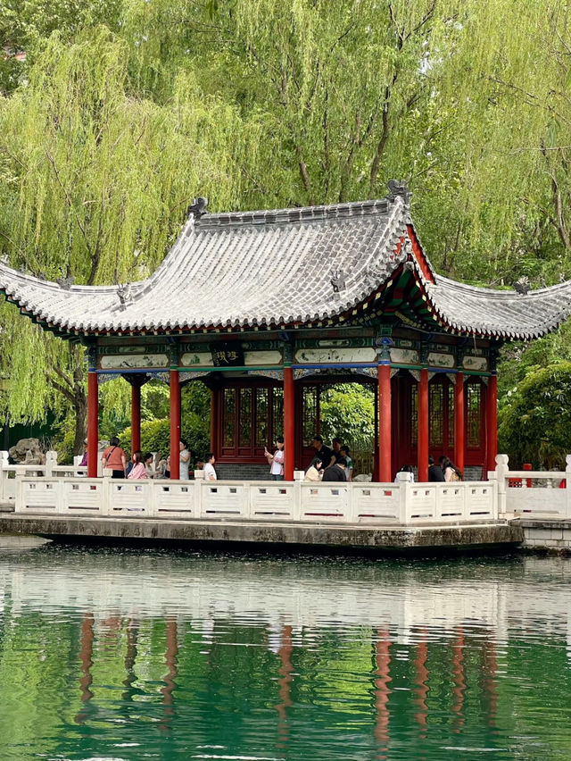 Zhenzhu Spring 🍃 