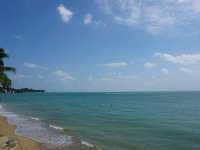 เกาะสมุย 3 สไตล์ 🏝️ คาเฟ่ ธรรมชาติ และชายหาด..