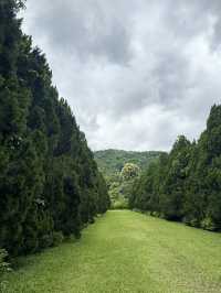 รีวิวCypress Lanes สวนสวยกลางหุบเขา เชียงไหม่