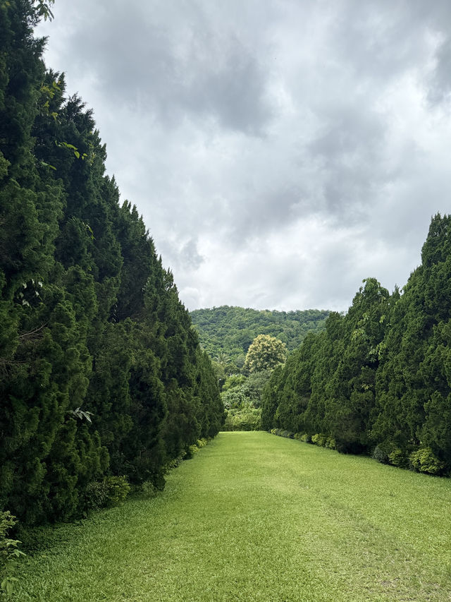 รีวิวCypress Lanes สวนสวยกลางหุบเขา เชียงไหม่