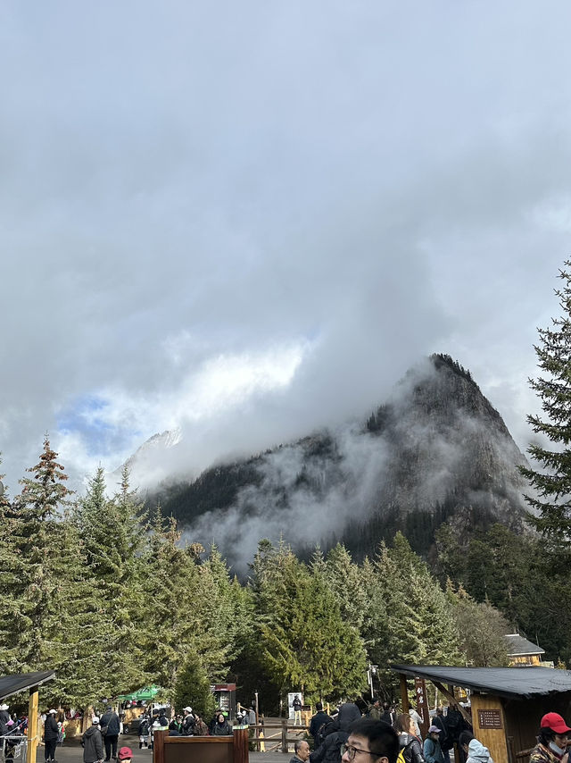 The Virgin Forests Of Jiuzhaigou