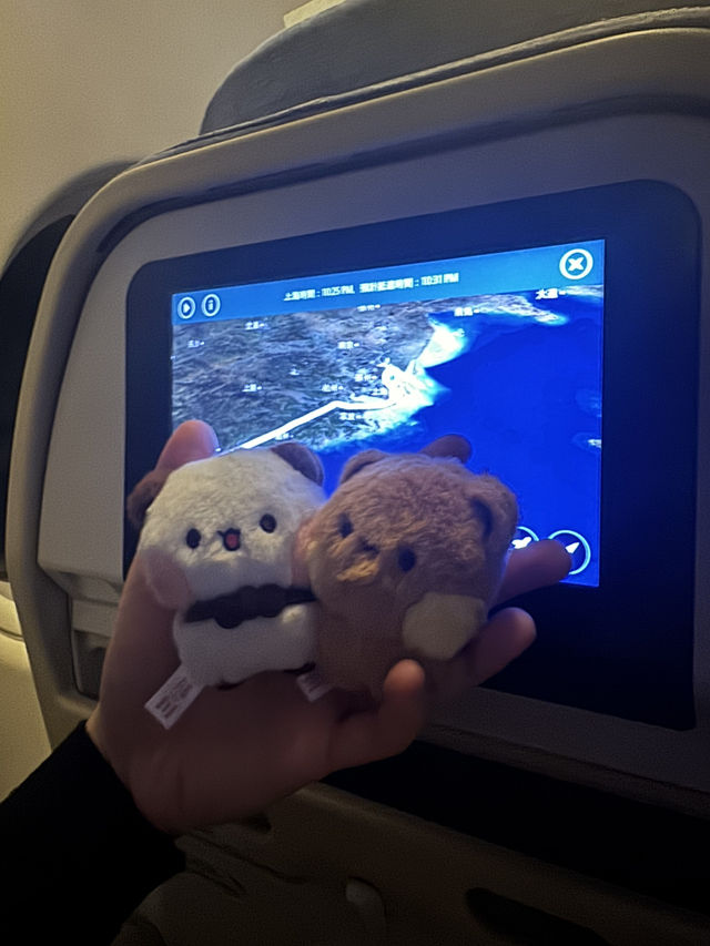 上海 三日快閃特色之旅～ 🐻🐼估唔到又幾好玩😆