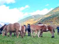 Vielha and Sant Maurici National Park my favourite in Spain