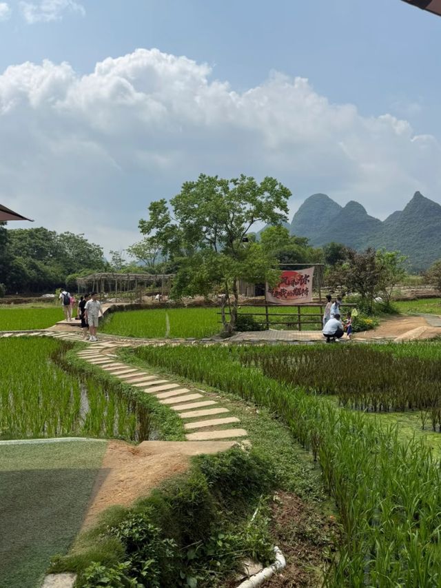 Bamboo Rafts, Karst Peaks & Culture: The Ultimate Yangshuo Bucket List
