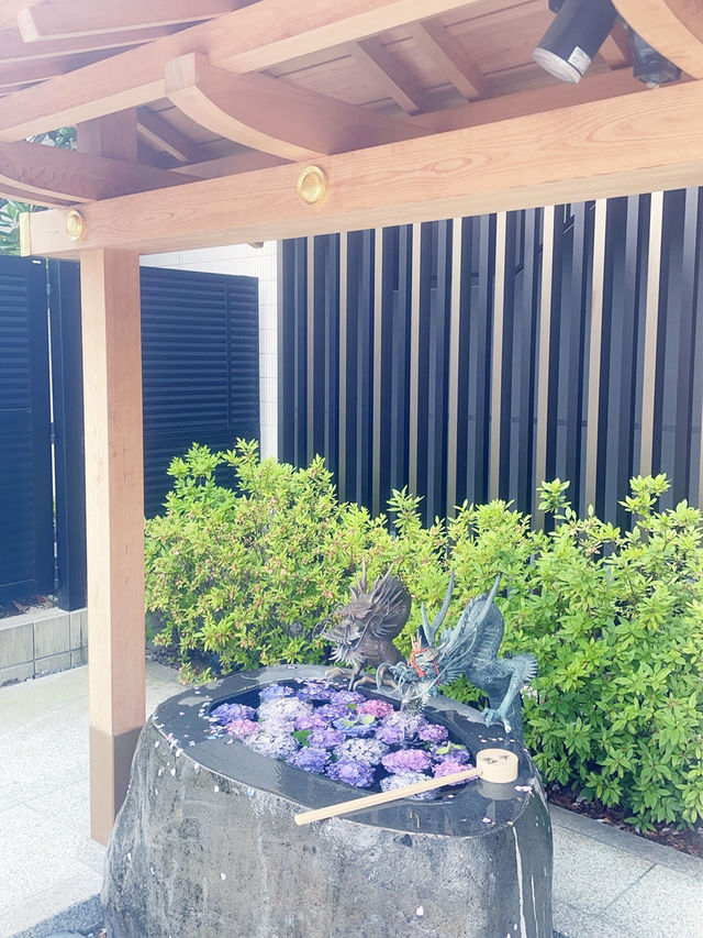 在貓咪神職的注視下參拜：東京妙義神社輕旅行