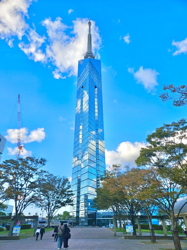 모모치 해변 뷰를 볼 수 있는 후쿠오카 타워