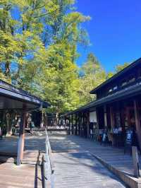 【軽井沢】涼を感じる🌿𓂃◌𓈒𓐍避暑地で夏を満喫