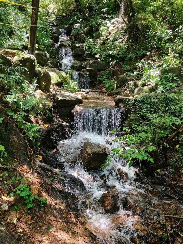 King Yue’s City Hill – Xiaoshan’s Hidden Historical Gem