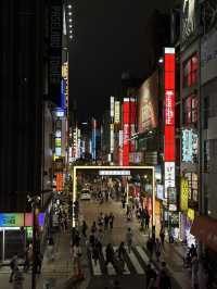🌃 Lights, Chaos, and Ramen—Welcome to Kabukicho Ichiban-Gai, Tokyo