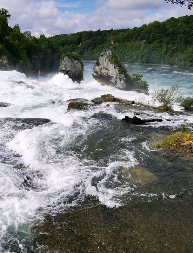 🌊Unleashed at Rhine Falls