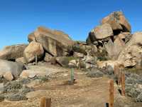 Sculpture Trail