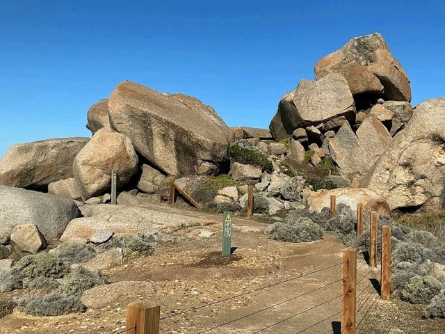 Sculpture Trail