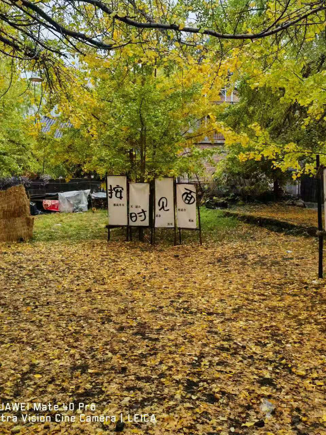 🍁 Late Summer-Autumn Dreams in Tengchong — Golden Leaves, Quiet Roads