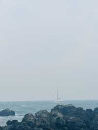 My beloved Jeju Island