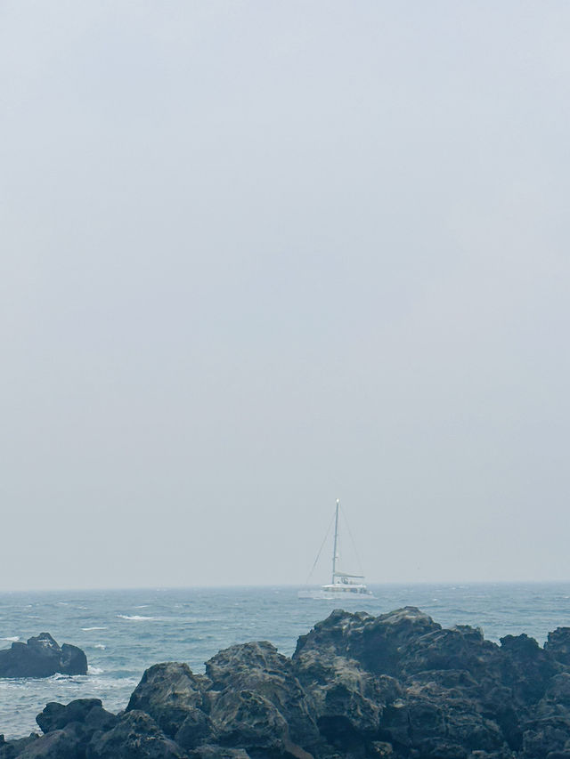 My beloved Jeju Island