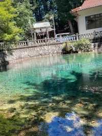 💧別府弁天池｜吸い込まれそうな青！神秘の湧水池で心を浄化する旅