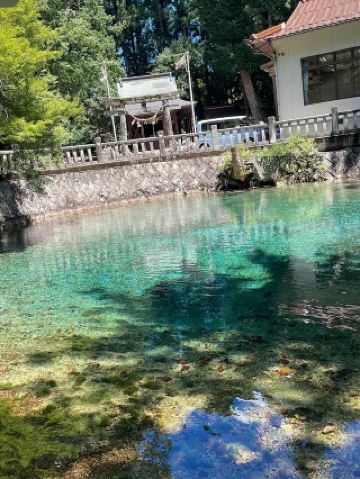 💧Beppu Benten Pond | A blue that will draw you in! A journey to purify your soul at a mysterious spring-fed pond