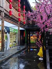Chengdu Vibes: Chill Days, Spicy Nights