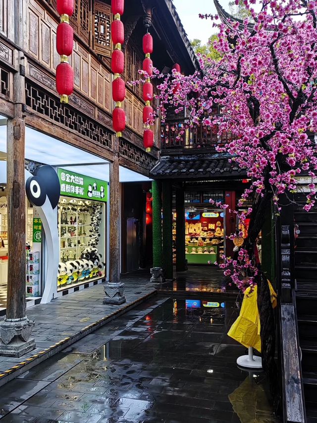 Chengdu Vibes: Chill Days, Spicy Nights