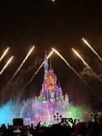 Disneyland in New Year 2025
