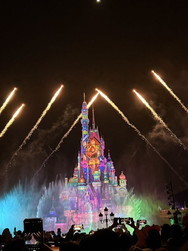 Disneyland in New Year 2025