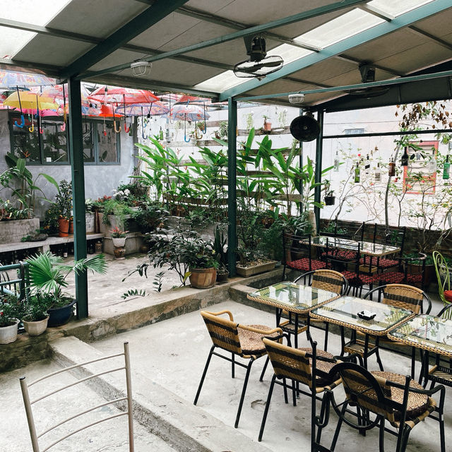 คาเฟ่แอนบาร์ในเมืองฮานอย  Nola Cafe & Bar