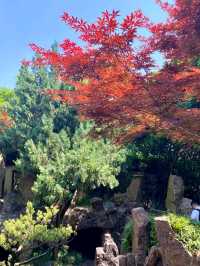 Ge Garden – Where Bamboo Whispers Meet Rockery Dreams