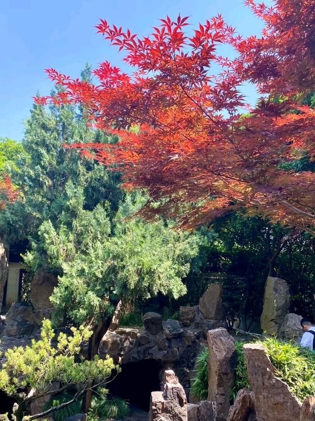 Ge Garden – Where Bamboo Whispers Meet Rockery Dreams