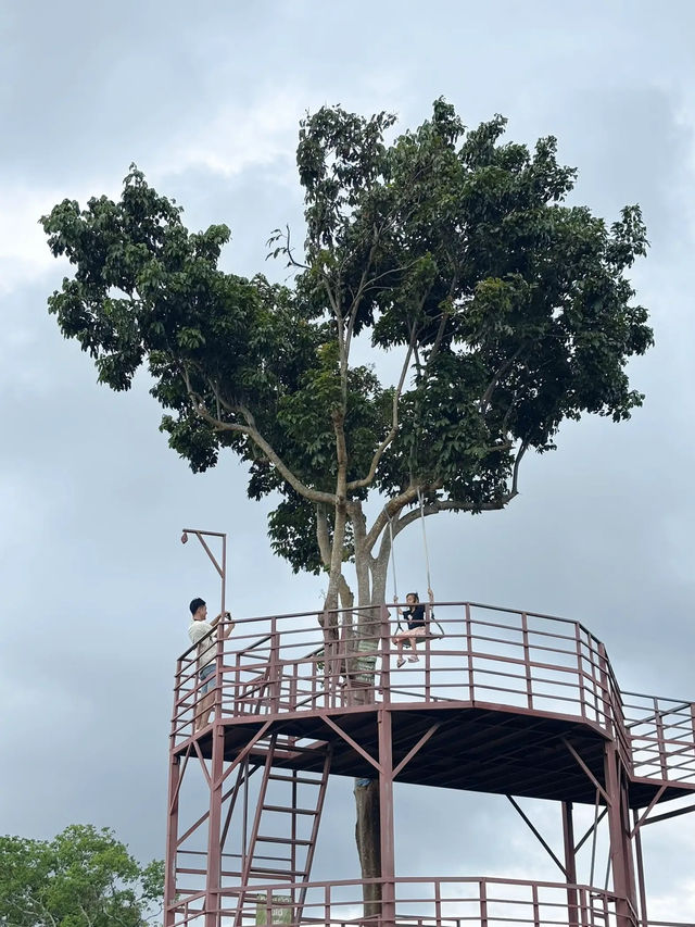 บ้านสวนชมวิว ต้นไม้หัวใจ (Heart tree house)