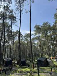 Bobocabin Cikole Experience 🔥