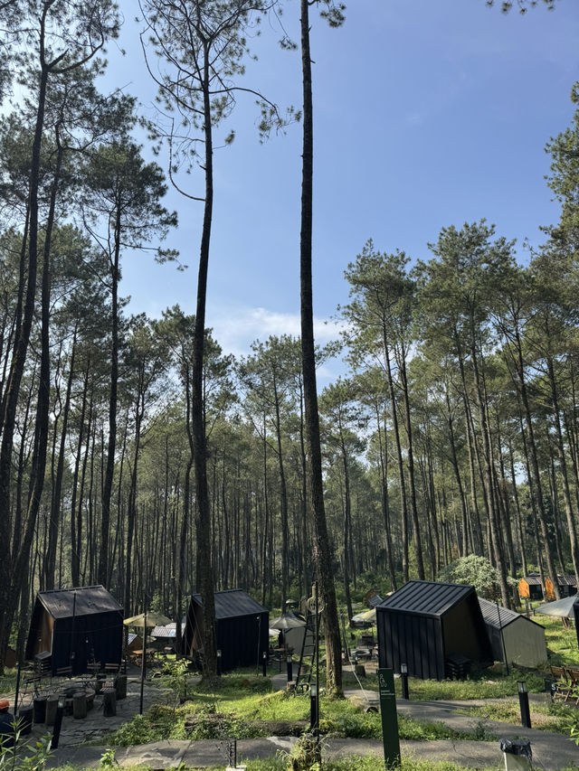 Bobocabin Cikole Experience 🔥