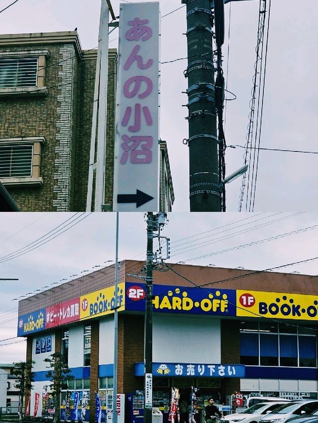 겨울 빛으로 물든 삿포로 여행기