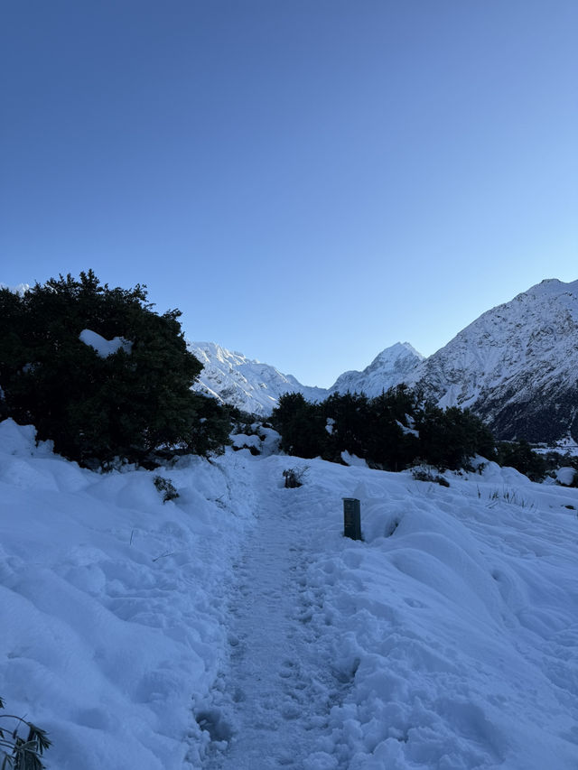 ニュージーランド🇳🇿 マウントクック　キアポイント🗻