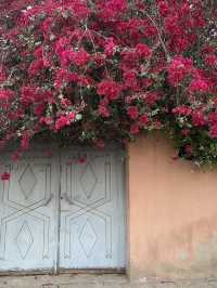 Beyond the Walls: Marrakech Outside the Medina
