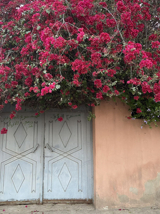 Beyond the Walls: Marrakech Outside the Medina Beyond the Walls: Marrakech Outside the Medina