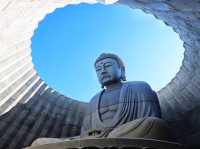在北海道遇見安藤忠雄