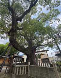 【大阪】堺市　石津太神社（いわつたじんじゃ）