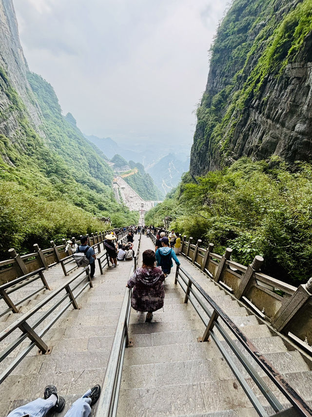 ⛰️ 天門山國家森林公園:天空之門的壯麗奇景 ⛰️ 天門山國家森林公園:天空之門的壯麗奇景