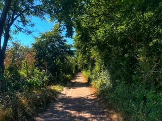 🌿 Barton Hills National Nature Reserve – A Wild Beauty of the Chilterns 🌿