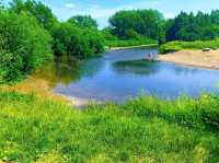 Reddish Vale Country Park – Nature on the Edge of the City