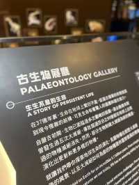 🇭🇰 Paleontology Gallery