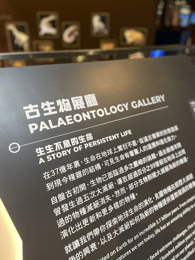 🇭🇰 Paleontology Gallery 🇭🇰 Paleontology Gallery