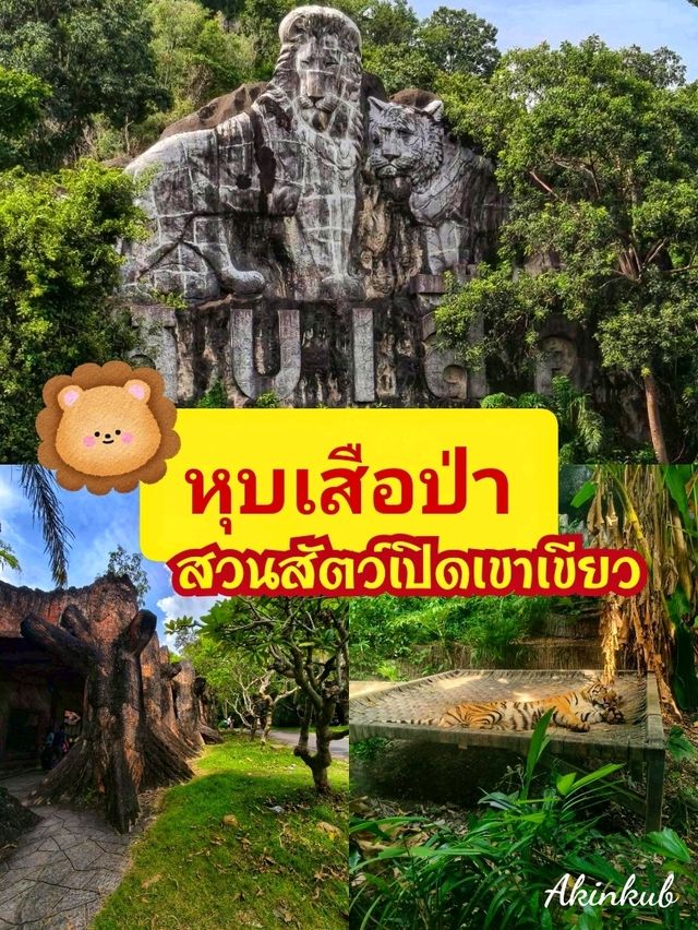 หุบเสือป่ามีอะไรบ้างนะ