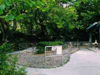 夏天的青衣公園