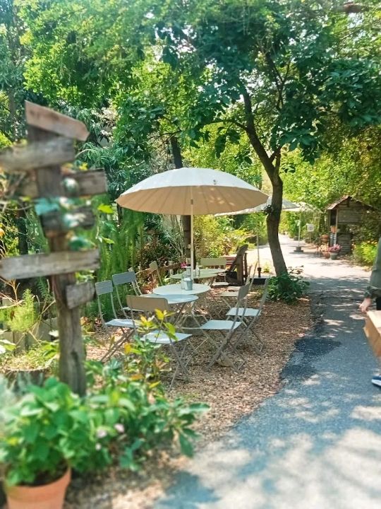 BarnNaa Cafe  💚🌿
