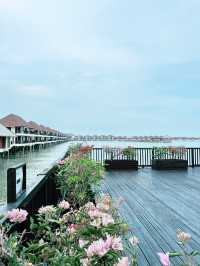 Must-Stay Paradise: Golden Palm Tree Sepang