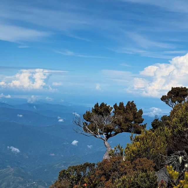Summiting Mount Kinabalu Summiting Mount Kinabalu